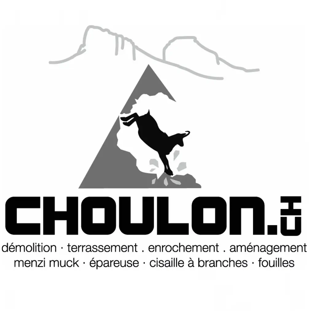 Logo Choulon.ch